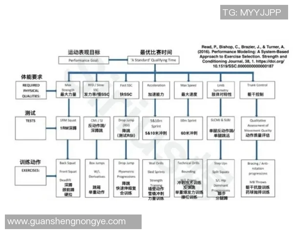 以体能测评为核心探索提升运动表现的科学方法与实践路径