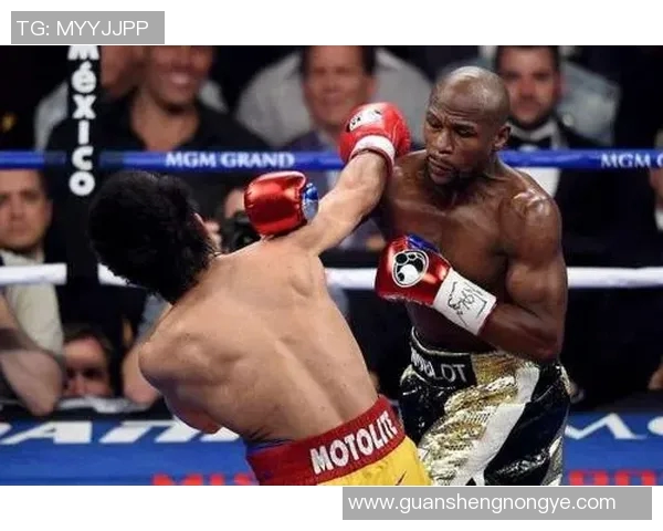 梅威瑟与帕奎奥对决点数解析及比赛精彩回顾