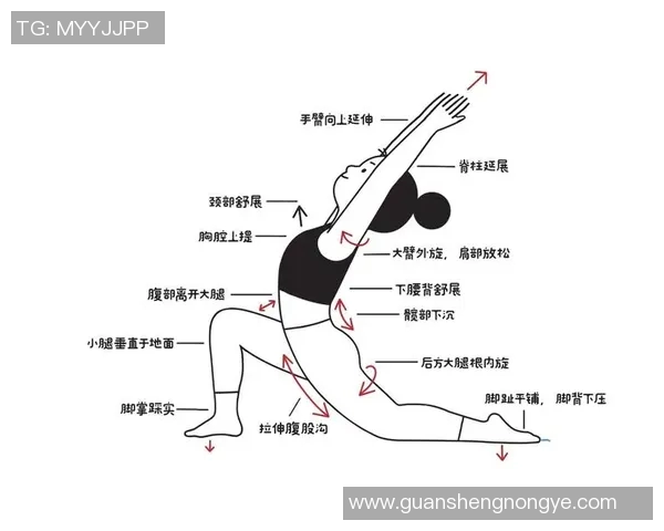仰泳对身体的多重益处探索 提升心肺功能增强肌肉力量与柔韧性