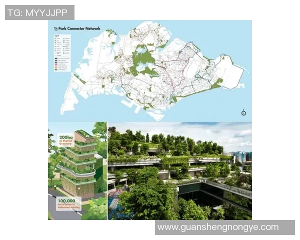 以步行者为中心的城市规划探索：打造更宜居的步行环境与可持续交通系统