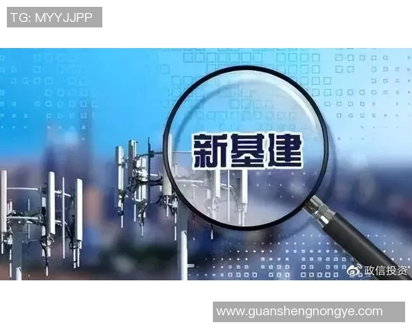 全面推动基础设施建设 提升经济发展新动能和社会服务水平