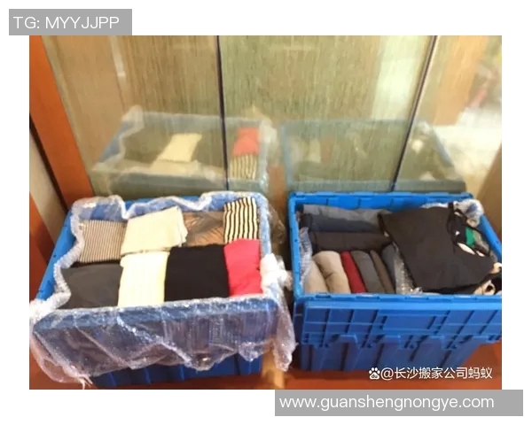 搬家攻略：如何高效打包整理物品，确保搬家过程顺利无忧