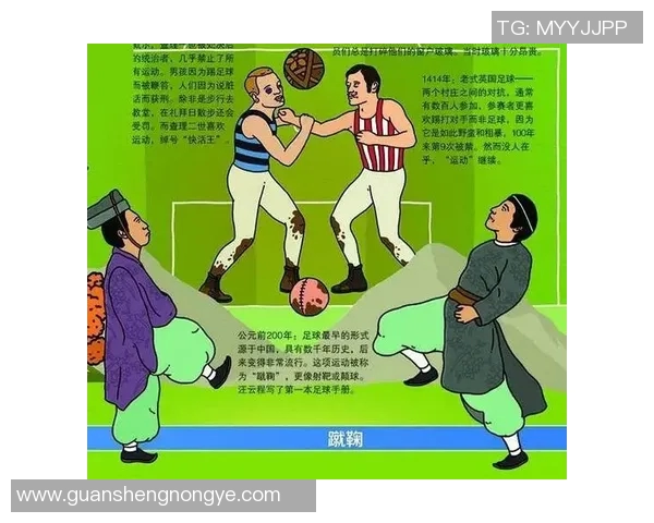 球类运动的魅力与发展：从传统竞技到现代创新的演变与影响