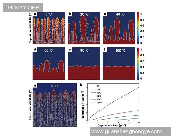 游泳对心理健康的积极影响与情绪调节机制探究