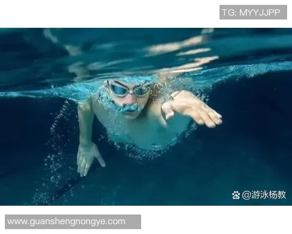 自由泳初学者必看技巧与训练方法提升游泳能力的全攻略 自由泳初学者必看技巧与训练方法提升游泳能力的全攻略