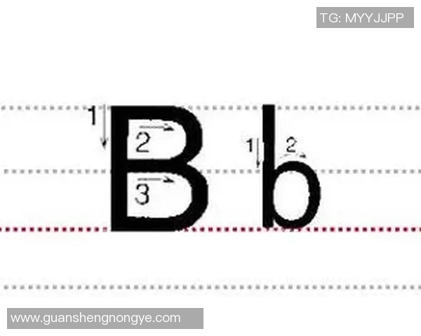 通过科学训练方法提升蛙泳技巧和速度的全面指南
