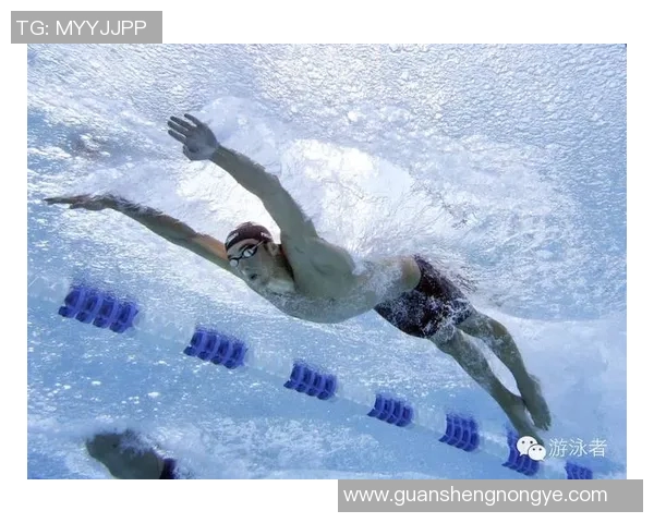 蝶泳基本技巧解析与提升方法全面指南