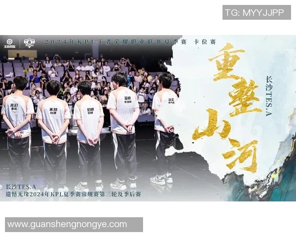 TES战队的荣耀与挑战：Major赛背后的奋斗故事与成长历程