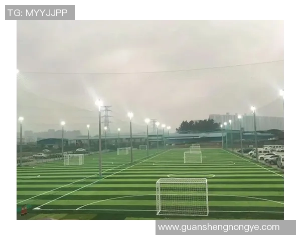 刘娜独家解析足球技巧与战术分享助你提升球场表现