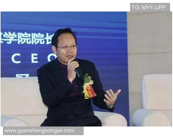 上海极限运动队实力分析与表现评估的全面研究与探讨