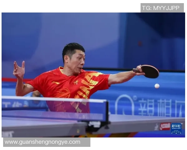 乒乓球个人能力榜单揭晓上海乒乓球队荣获第二名殊荣