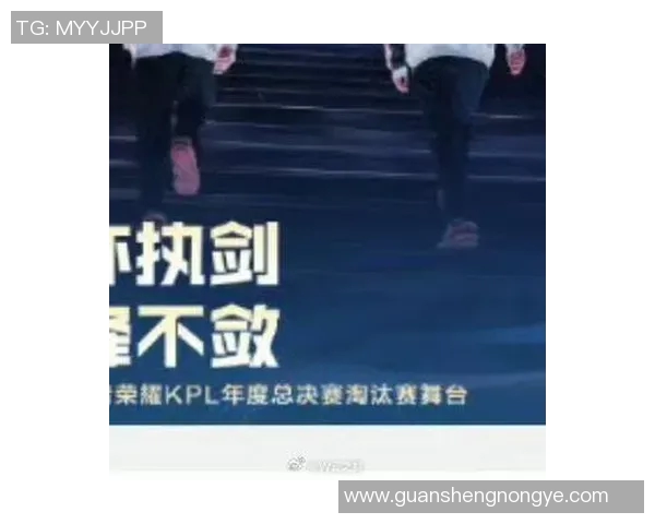 全球挑战赛特别报道：JDG如何在竞争激烈的环境中实现成功转型与突破