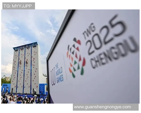 成都攀岩队的防守策略揭秘与攀岩深度分析 成都攀岩队的防守策略揭秘与攀岩深度分析