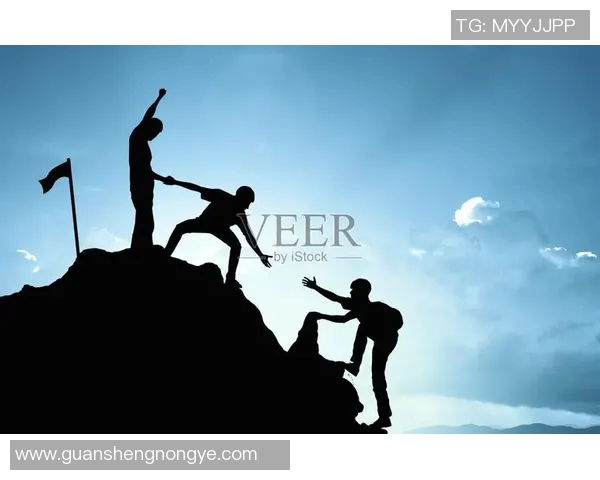 广州攀岩队团队协作的独特优势与其他队伍的深度比较分析 广州攀岩队团队协作的独特优势与其他队伍的深度比较分析