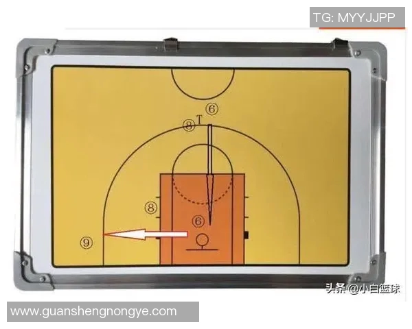 杭州篮球队包夹战术解析：深度剖析其背后的策略与执行技巧