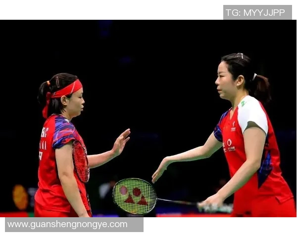 武汉羽毛球队转型之路：得失与未来展望分析