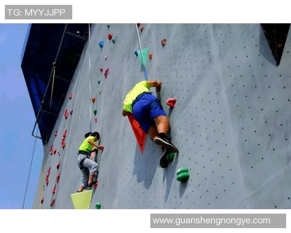 深圳攀岩队的比赛经验揭秘与技巧分享攀岩爱好者必看指南