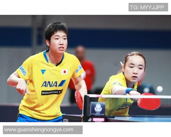 深圳羽毛球队配合策略深度解析与其他球队的对比分析