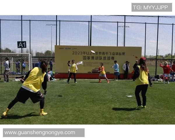 飞盘比赛经验排行榜揭晓广州飞盘队荣获第七名成就斐然