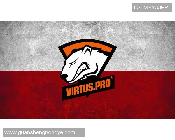 CSGO战术分析:深入探讨LNG战队的游戏意识与团队协作 CSGO战术分析:深入探讨LNG战队的游戏意识与团队协作