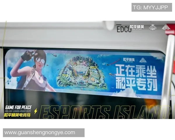 聚焦和平精英技术创新与LNG团队的战术策略探讨