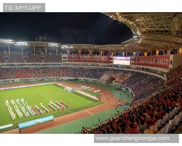 西安足球队实力揭秘：从历史辉煌到未来展望的全景分析