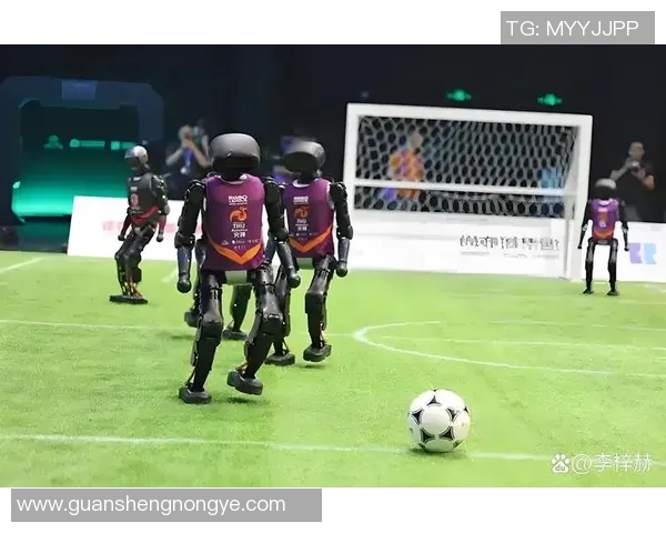 专访周芳:探寻足球成功背后的秘密与智慧