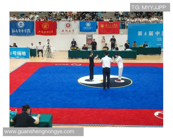 南京飞盘队在世界滑板锦标赛中的默契配合与精彩表现分析