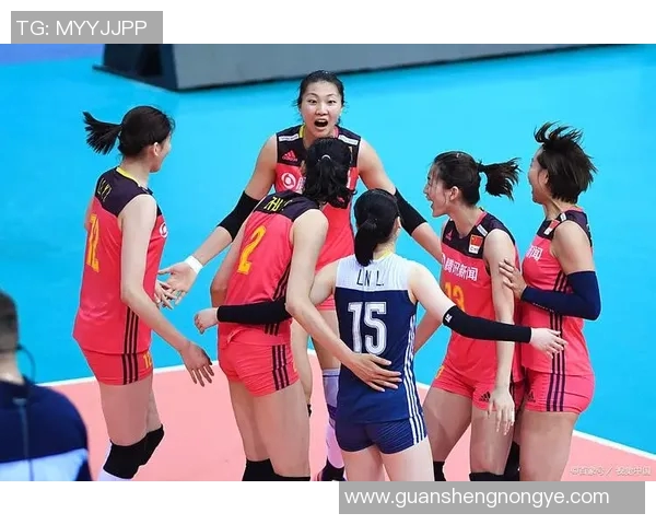 北京排球队团队协作引发热议球迷对战术配合和球员默契提出不同看法