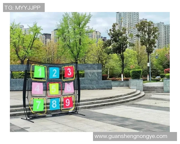 飞盘之路的探索与成长王敏分享个人经历与未来展望