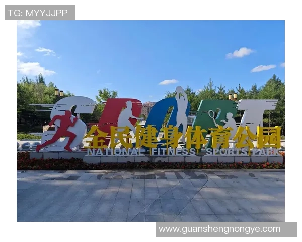竞技运动的发展与影响：从竞技体育到全民健身的多维探索
