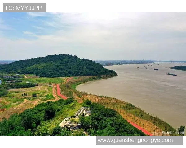 芜湖的地理、文化与历史背景解析，探索这座城市的独特魅力与发展潜力