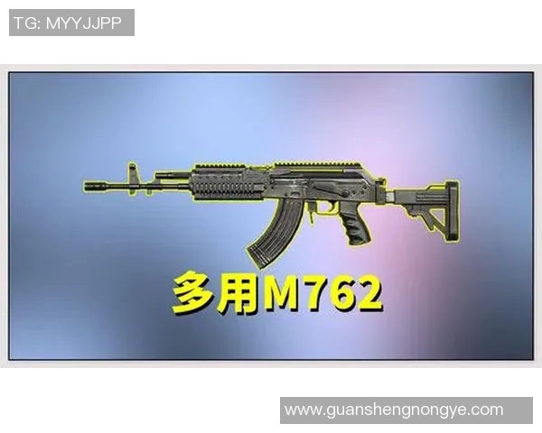 专访刘娜揭秘和平精英成功背后的策略与创新之路