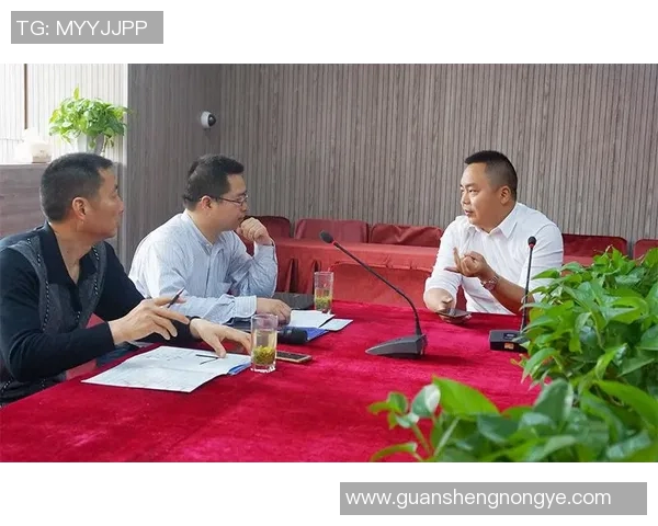 LNG战队选手个人能力分析与团队协作的深度探讨
