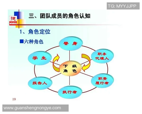 北京排球队在邀请赛中的团队协作表现分析与评价