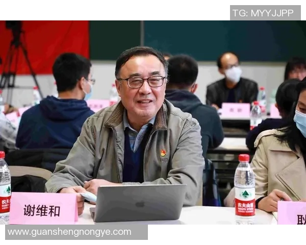 南京排球队的精神探索与团队意识的深度剖析 南京排球队的精神探索与团队意识的深度剖析